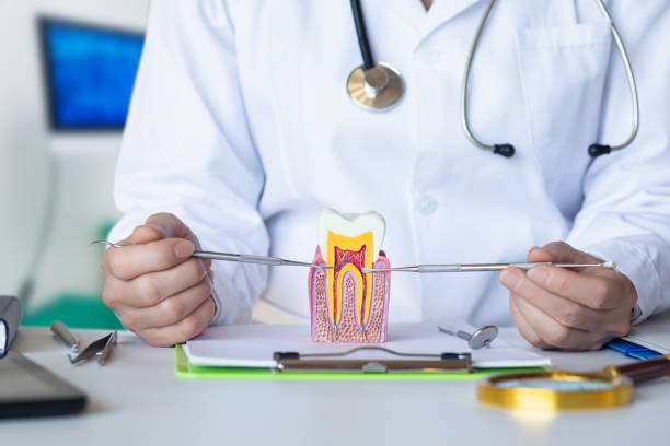 Best Emergency Dental Care for Abscessed Tooth in Augusta, AR